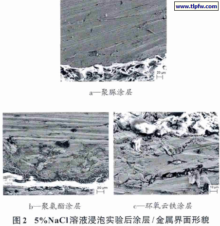 5%NaCl 溶液浸泡实验后涂层/ 金属界面形貌