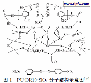 　ＰＵ－ＤＲ１９－ＳｉＯ２ 分子结构示意图