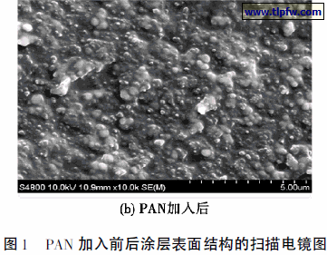 PAN 加入前后涂层表面结构的扫描电镜图