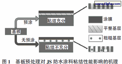 基板预处理对JS 防水涂料粘结性能影响的机理