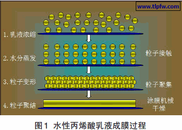 水性丙烯酸乳液成膜过程