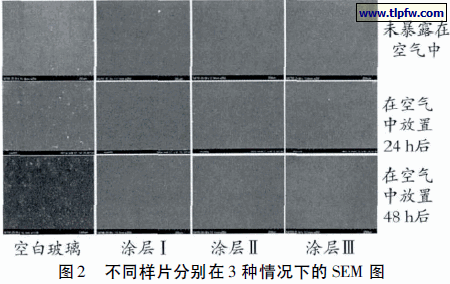 不同样片分别在3 种情况下的SEM 图