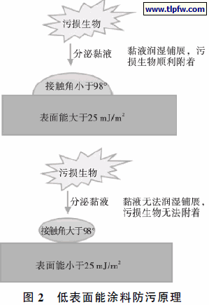 低表面能涂料防污原理