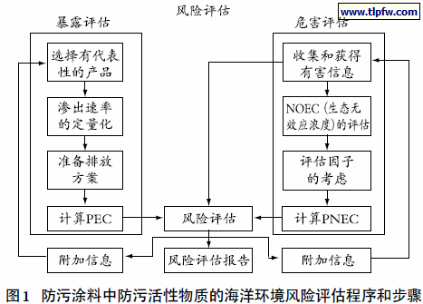 防污涂料中防污活性物质的海洋环境风险评估程序和步骤