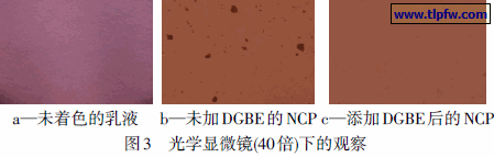 光学显微镜(40倍)下的观察