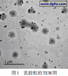 乳胶粒的TEM图