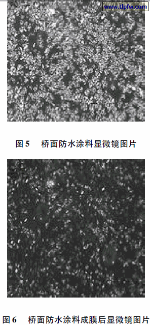 桥面防水涂料显微镜图片,桥面防水涂料成膜后显微镜图片