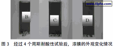 经过4 个周期耐酸性试验后,漆膜的外观变化情况
