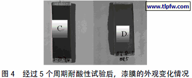 经过5 个周期耐酸性试验后,漆膜的外观变化情况