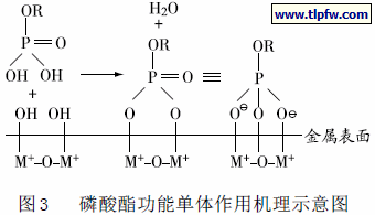磷酸酯功能单体作用机理示意图