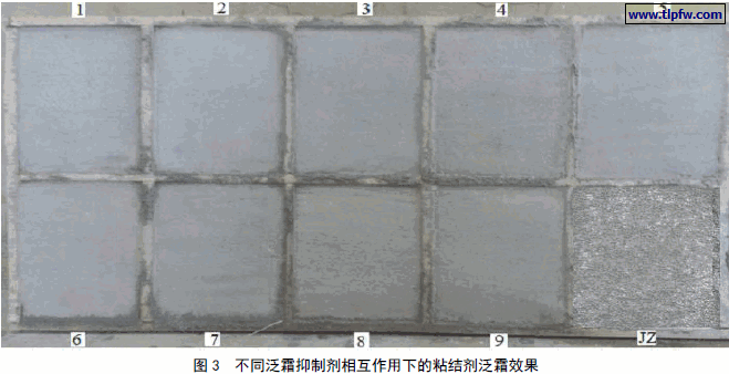 不同泛霜抑制剂相互作用下的粘结剂泛霜效果
