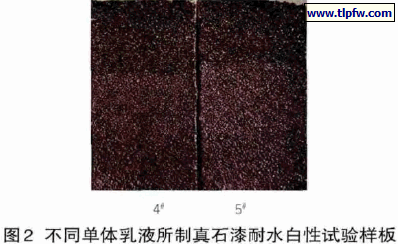 不同单体乳液所制真石漆耐水白性试验样板