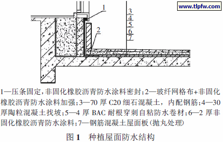 种植屋面防水结构