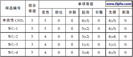 水性环氧/碳纳米管防腐抗静电涂膜耐3%NaCl 溶液14d 等级评定