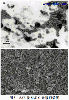 SAE 及SAE-C 微观形貌图