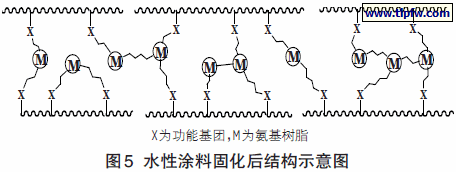 水性涂料固化后结构示意图