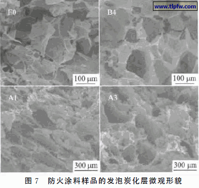 防火涂料样品的发泡炭化层微观形貌