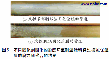 不同固化剂固化的酚醛环氧耐温涂料经过模拟保温 层的腐蚀测试后的结果