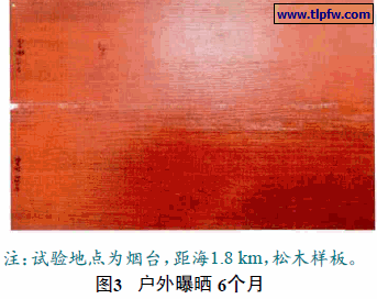 户外曝晒 6个月