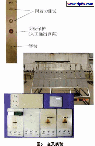 交叉实验