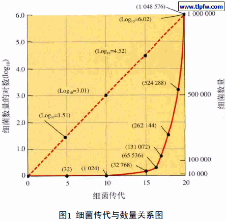 细菌传代与数量关系图