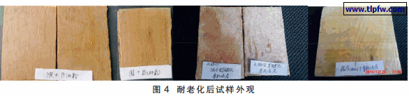 耐老化后试样外观