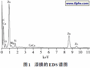漆膜的EDS 谱图