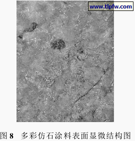 多彩仿石涂料表面显微结构图