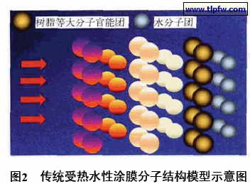 传统受热水性涂膜分子结构模型示意图