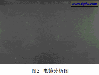 电镜分析图