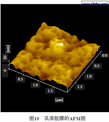 乳液胶膜的AFM图