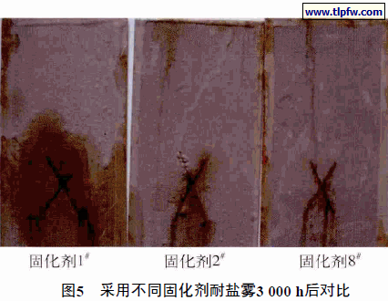 采用不同固化剂耐盐雾3 000 h后对比