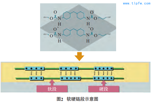 软硬链段示意图