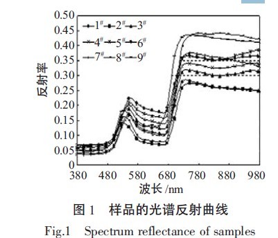 201107151434082331.jpg 201107151434082331.jpg