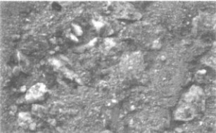 201110142238481562.jpg 201110142238481562.jpg