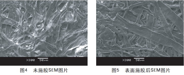 201108071543577219.jpg