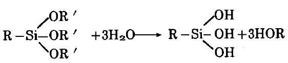 201110032316258750.jpg