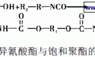 卷材用聚氨酯抗菌涂料的研制