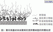 聚丙烯基材表面树脂附着的研究进展