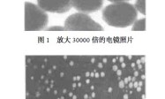 水基型路面标线涂料的研制及其应用