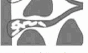 水泥基渗透结晶型防水涂料做建筑刚性防水