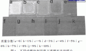 成膜助剂对核壳结构乳胶粒子成膜过程的影响