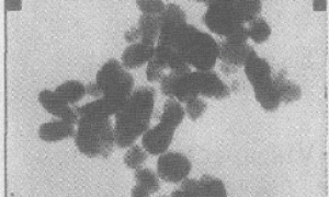 纳米TiO2改性内墙乳胶漆的性能