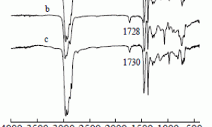 塑料涂料用马来酸酐接枝氯化聚丙烯的合成与性能