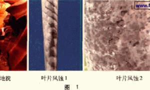 风电装备腐蚀分析与涂料防护综述
