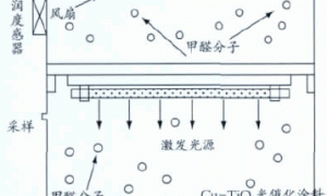 Cu－TiO2光催化涂料的制备及降解甲醛效果研究