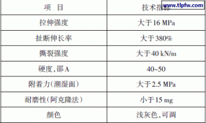 SK柔性防护涂料在伸缩缝及裂缝快速修复中的应用