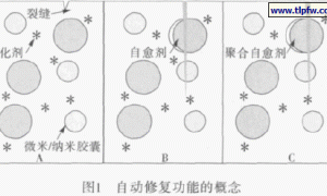 自修复涂料的研制