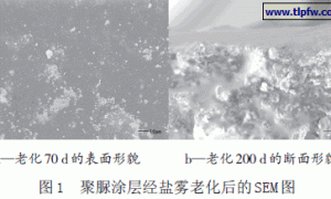 混凝土保护涂层的性能测试研究