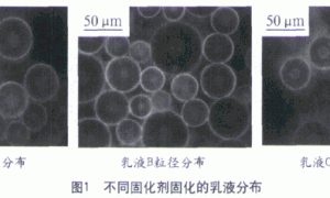 改性胺固化剂对防腐涂料的影响